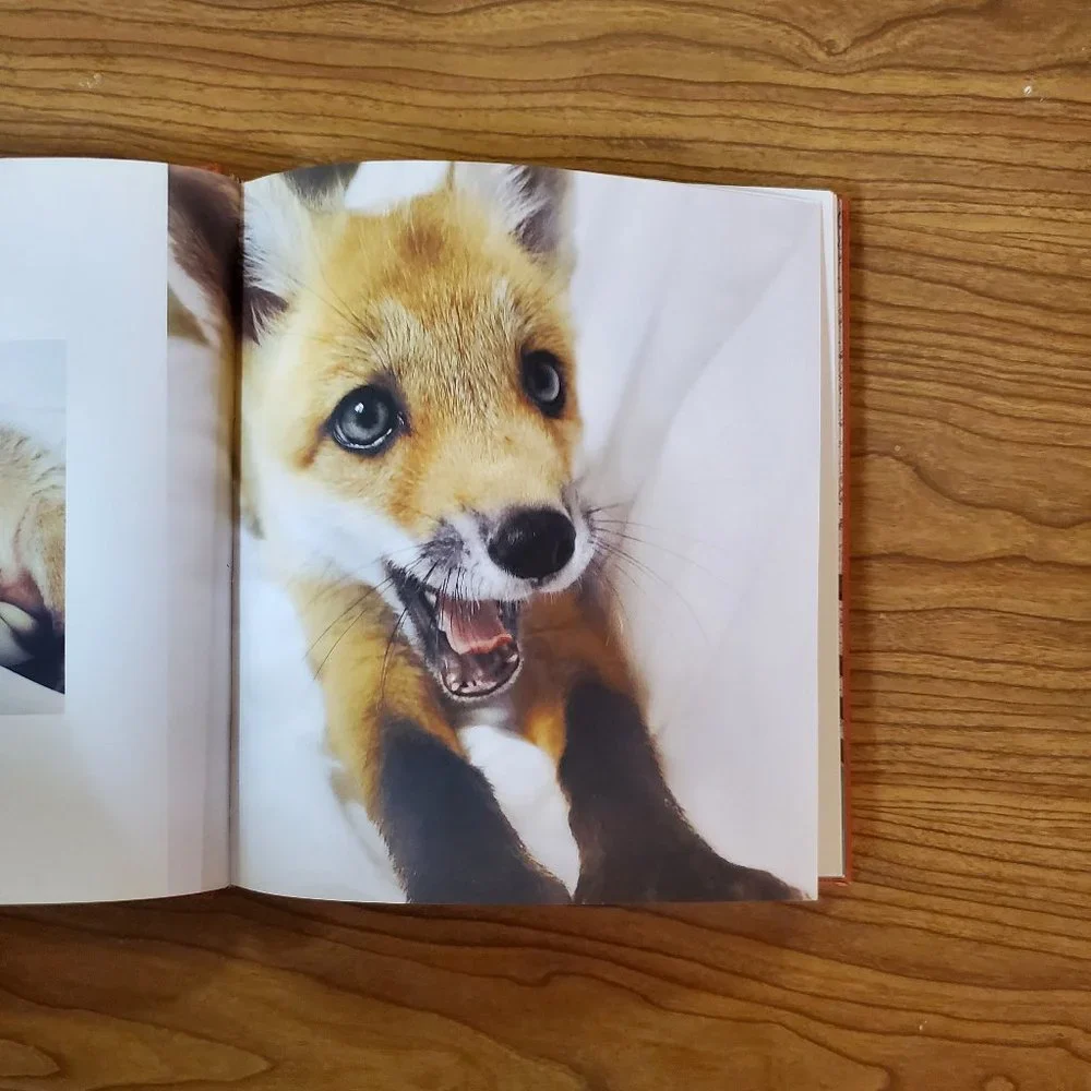 Juniper The Happiest Fox Book - Picture 2 of 4